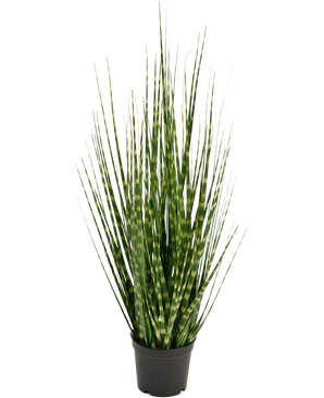 Kunsgrass Zebra Zwiebel Gras Zweig 56cm feuerhemmend