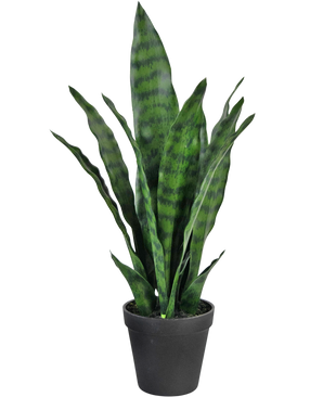 Kunstpflanze Sansevieria Zeylanica 44 cm