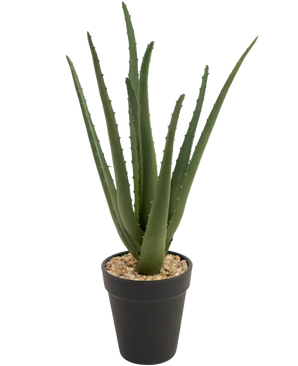 Künstliche Pflanze Aloe Vera 33 cm