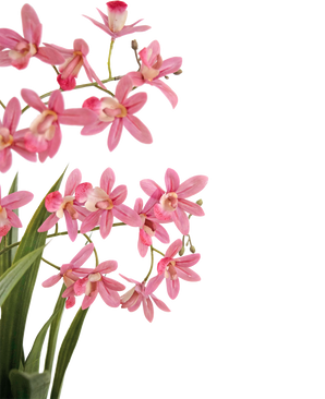 Künstliche Pflanze Mini Cymbidium Real Touch 58 cm rosa