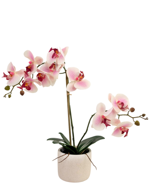 Künstliche Orchidee Real Touch 60 cm rosa/weiß