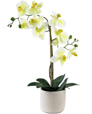 Künstliche Orchidee Real Touch 60 cm grün/weiß