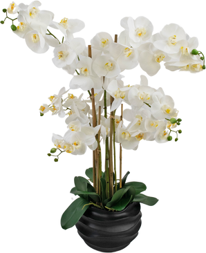 Künstliche Orchidee Real Touch 85 cm weiß