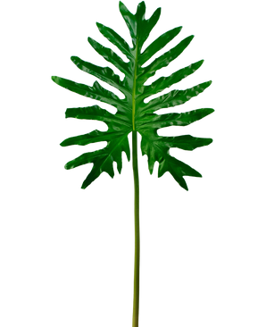 Künstlicher Philodendron 90cm