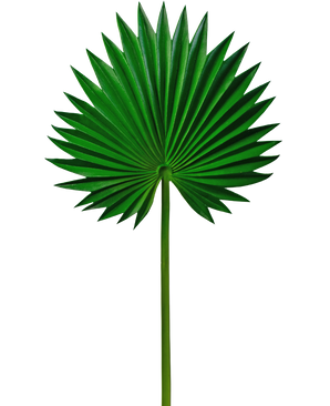 Künstliches Blatt Washingtonia 73cm