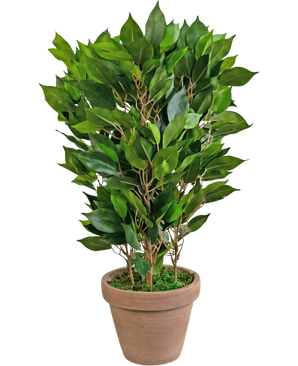 Künstliche Pflanze Mini Ficus 45 cm im Topf