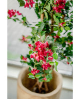 Bougainvillea Kunstpflanze Liana Fuchsia 115 cm