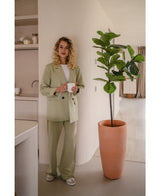 Ficus-Tabak-Pflanze Deluxe 155 cm