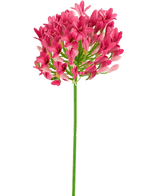 Künstliche Blume Agapanthus 75 cm rosa