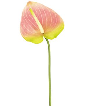 Künstliche Blume Anthurium 65 cm grün/rosa