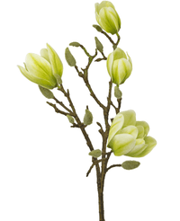 Künstliche Blume Magnolie 50 cm weiß/grün