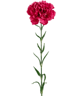 Künstliche Blume Nelke 69 cm hart rosa