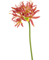 Künstliche Blume Nerine 70 cm fuchsie