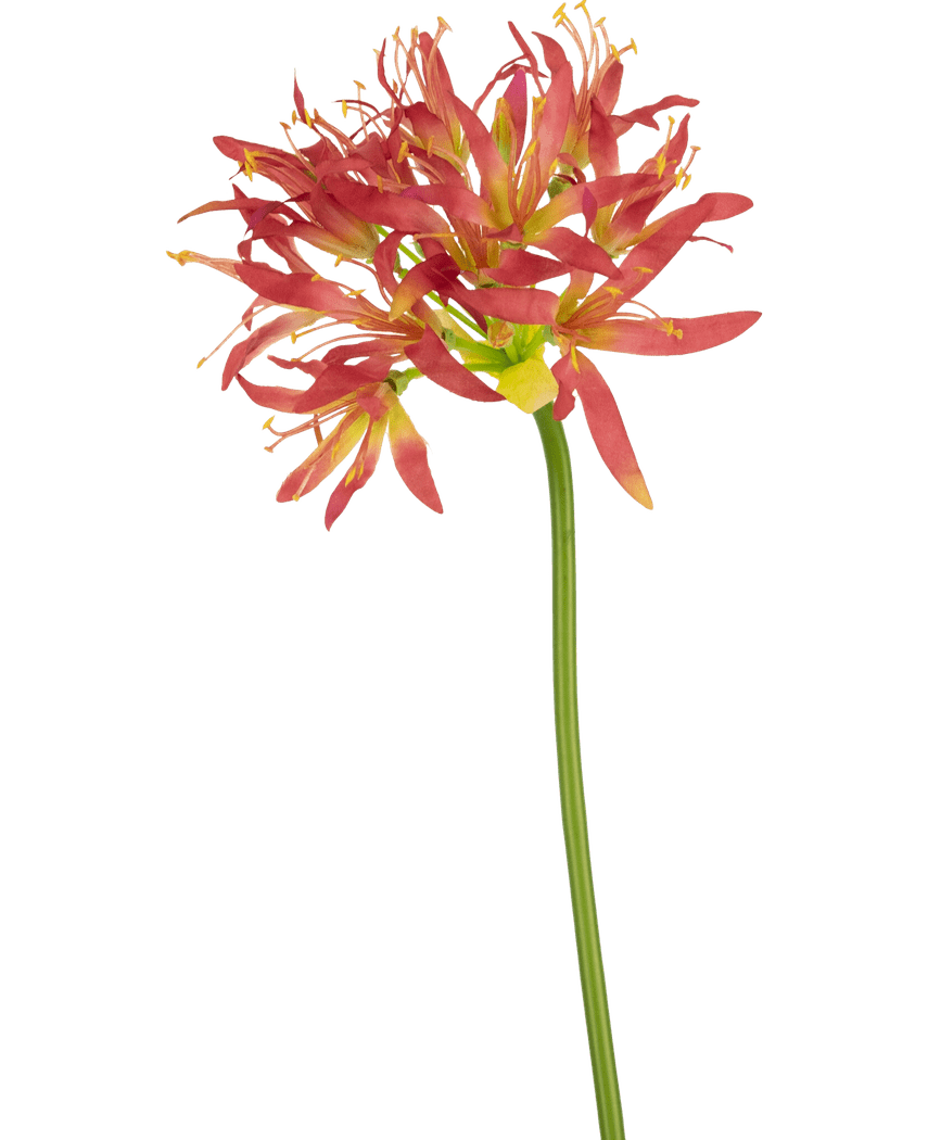 Künstliche Blume Nerine 70 cm fuchsie