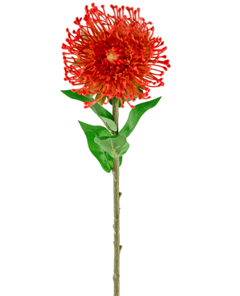 Künstliche Blume Protea 73 cm rot