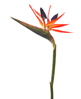 Künstliche Blume Strelitzia 80 cm rot/lila