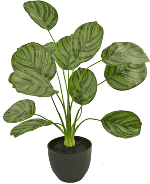 Künstliche Calathea 58 cm dunkelgrün im dekorativen Topf schwarz