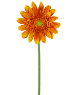 Künstliche Gerbera 53 cm orange