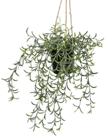 Künstliche Hängepflanze Senecio mit Topf 35 cm