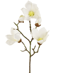 Künstliche Magnolie Real Touch Weiß 72cm