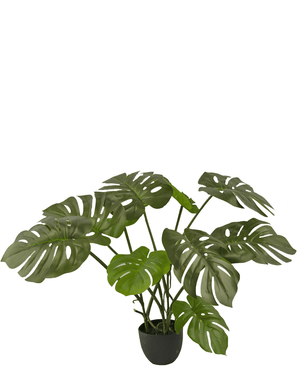 Künstliche Monstera 50 cm