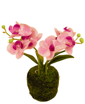 Künstliche Orchidee 32 cm weiß