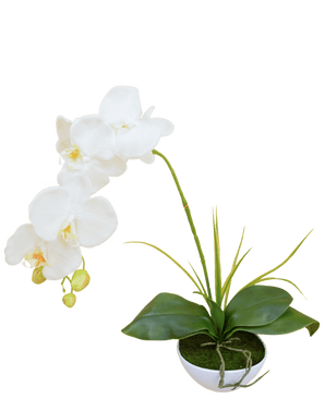 Künstliche Orchidee 50 cm weiß im Topf