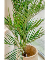 Künstliche Palme Areca 150 cm