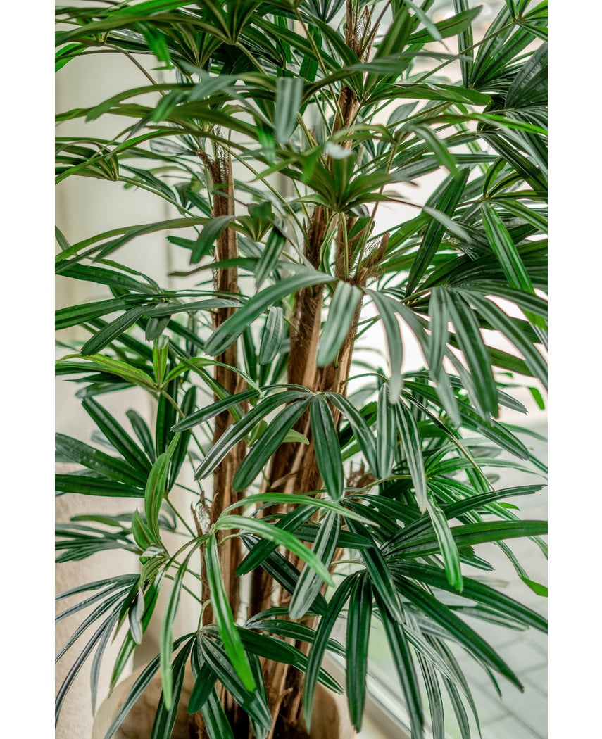 Künstliche Palme Dame 150 cm