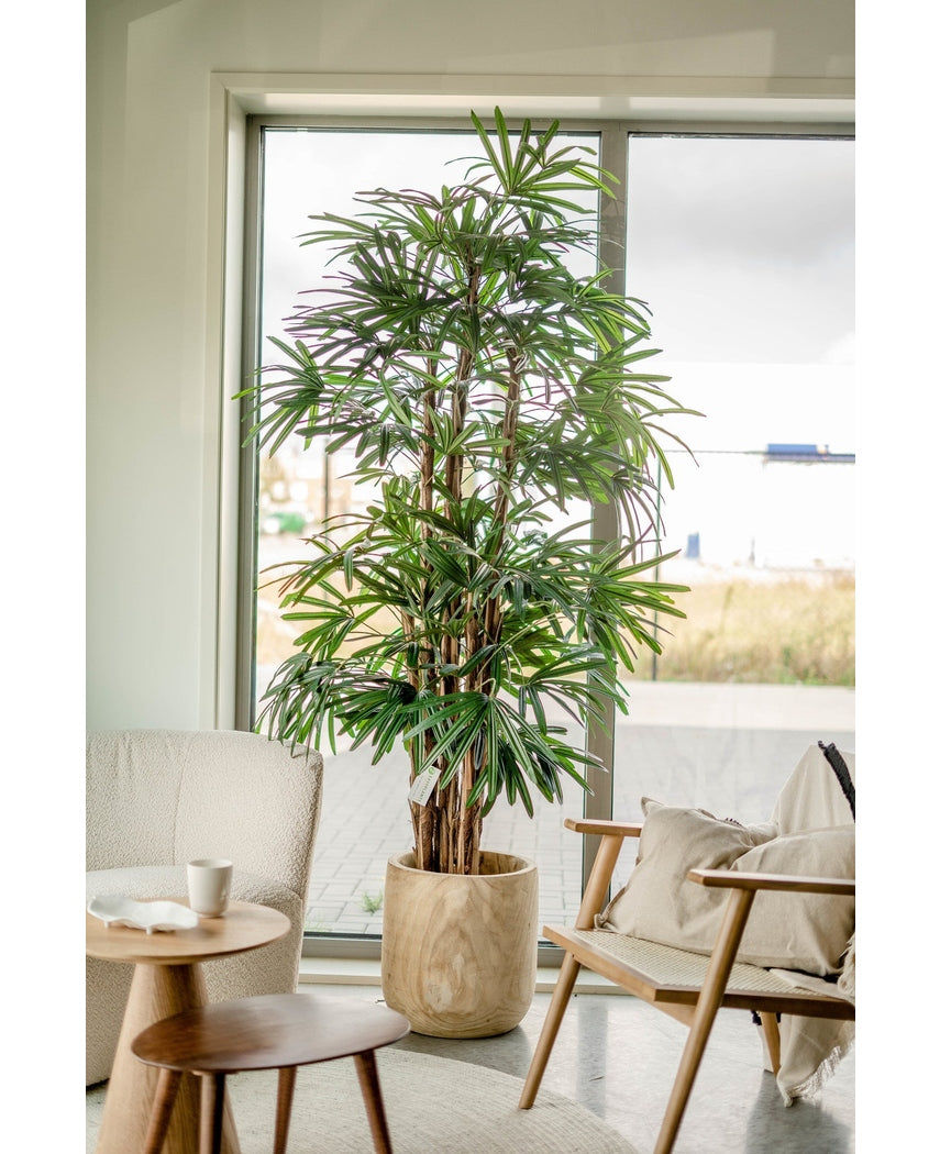 Künstliche Palme Dame 210 cm