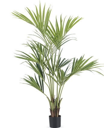 Künstliche Palme Kentia 165 cm