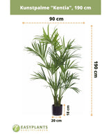 Künstliche Palme Kentia 190 cm