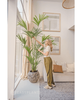 Künstliche Palme Kentia 220 cm