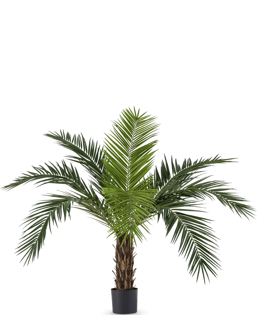 Künstliche Palme Phoenix Kanarienvogel 160 cm