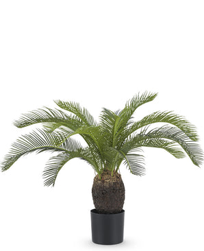 Künstliche Pflanze Baby Cycas Palm 60 cm