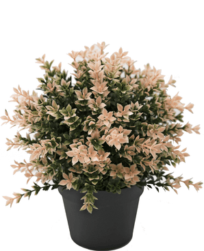 Künstliche Pflanze Buxus rosa 22 cm UV