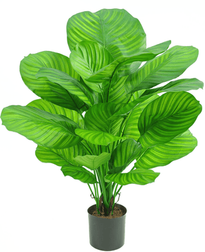 Künstliche Pflanze Calathea 72 cm