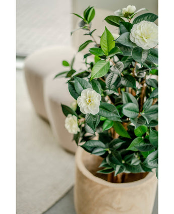 Künstliche Pflanze Camellia japonica 100 cm