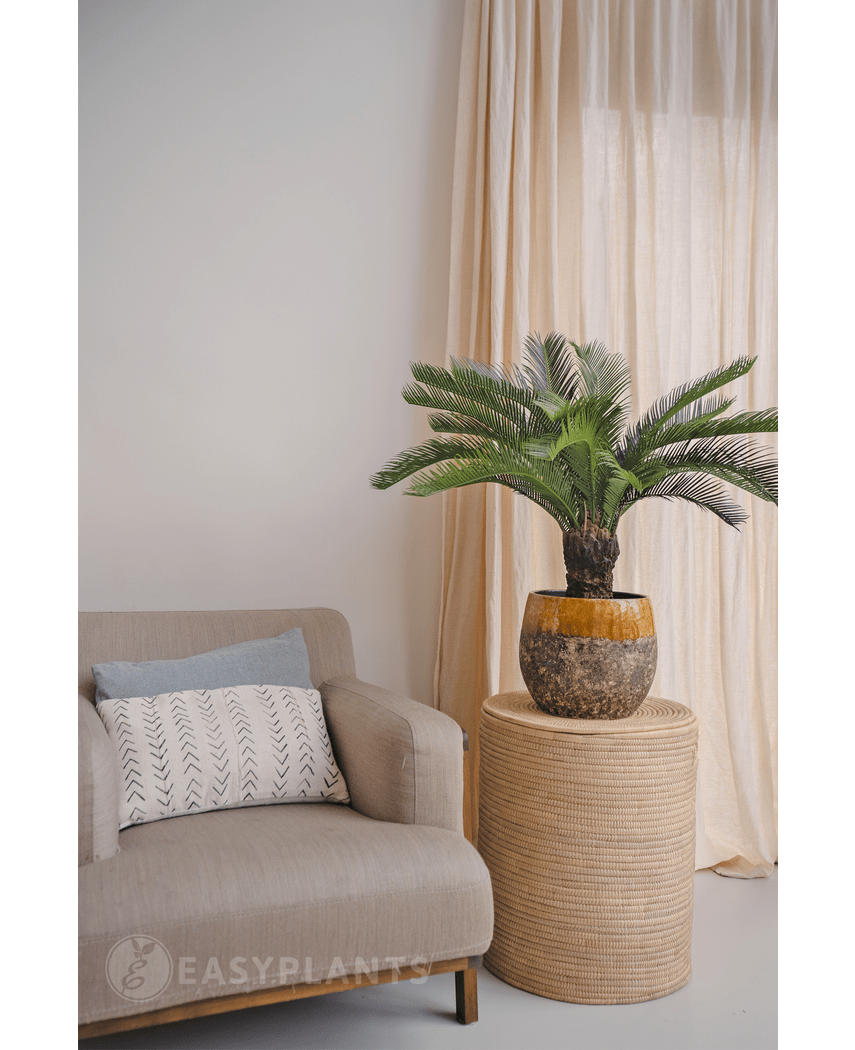 Künstliche Pflanze Cycad-Palme 80 cm