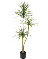 Künstliche Pflanze Dracaena Fragnans 150 cm