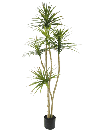 Künstliche Pflanze Dracaena Fragnans 180 cm