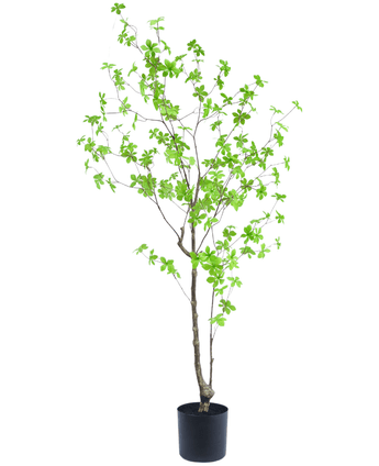 Künstliche Pflanze Enkianthus 150 cm