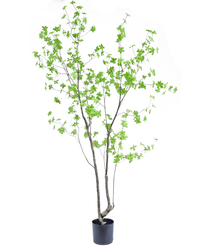 Künstliche Pflanze Enkianthus 210 cm