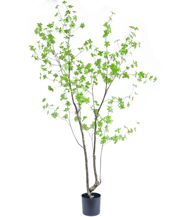 Künstliche Pflanze Enkianthus 210 cm