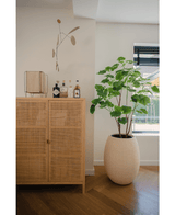 Künstliche Pflanze Ficus 150 cm