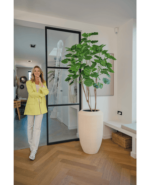 Künstliche Pflanze Ficus 180 cm