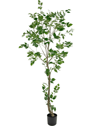 Künstliche Pflanze Ficus 210 cm