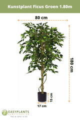 Künstliche Pflanze Ficus Grün 180 cm