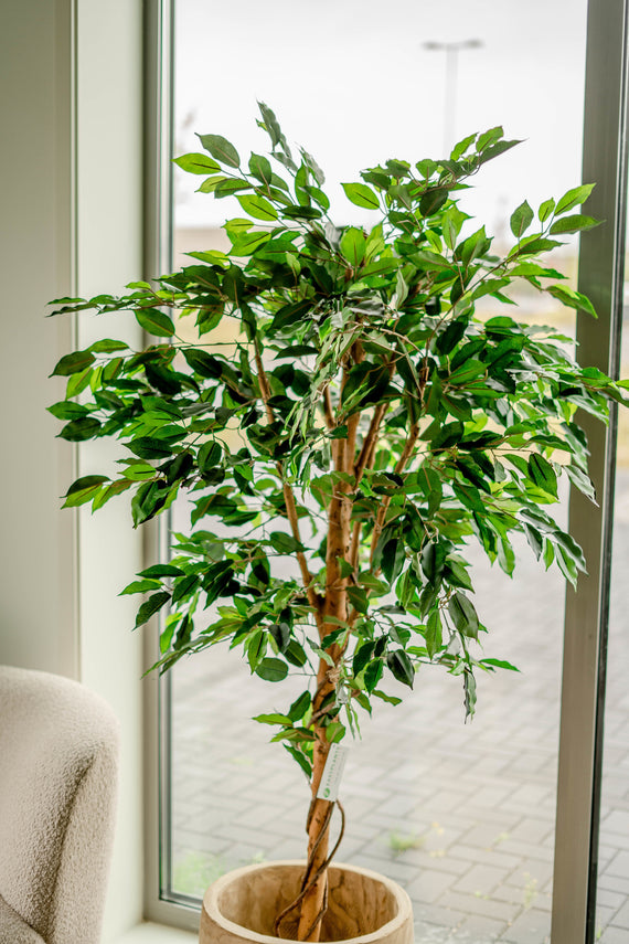 Künstliche Pflanze Ficus Grün 180 cm