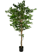 Künstliche Pflanze Ficus Grün 210 cm